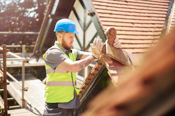 Best Roof Repair Services  in Mount Shasta, CA